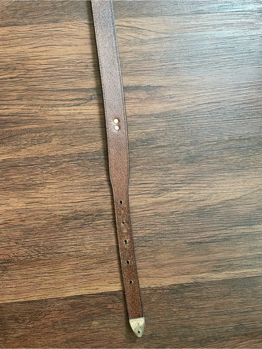 Greg Norman READ Men 42 Italian Leather Conchos Belt Shark SilverTone Hardware